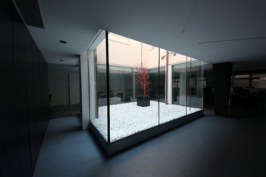 Reforma estudio Goelin Arquitectos