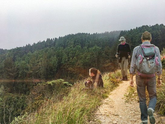 Parque San Rafael . Bogotá . Cundinamarca . Colombia