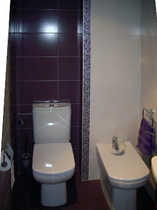 Contrastes mediante la reforma de 2 baños