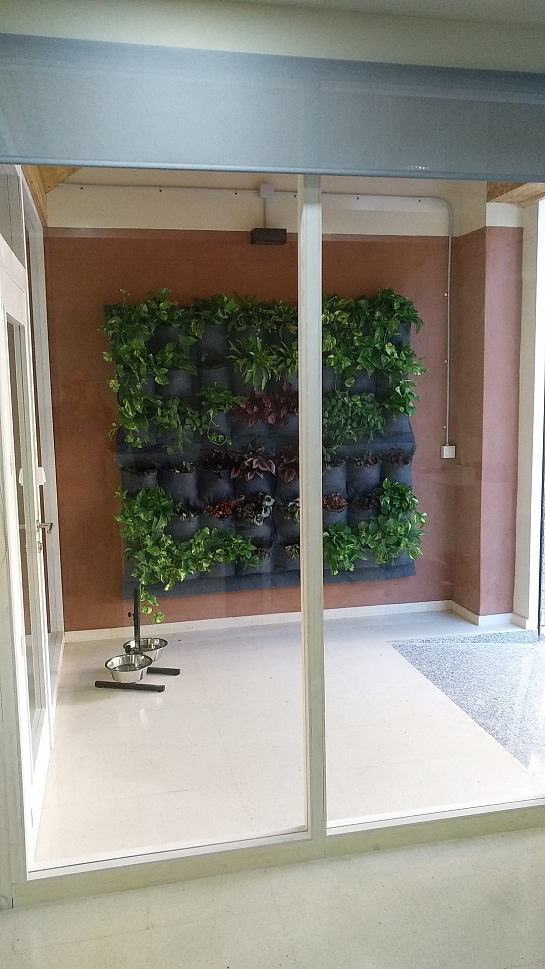 CLINICA VETERNINARIA, Acupuntura y masaje para animales . Alicante . Alacant . España