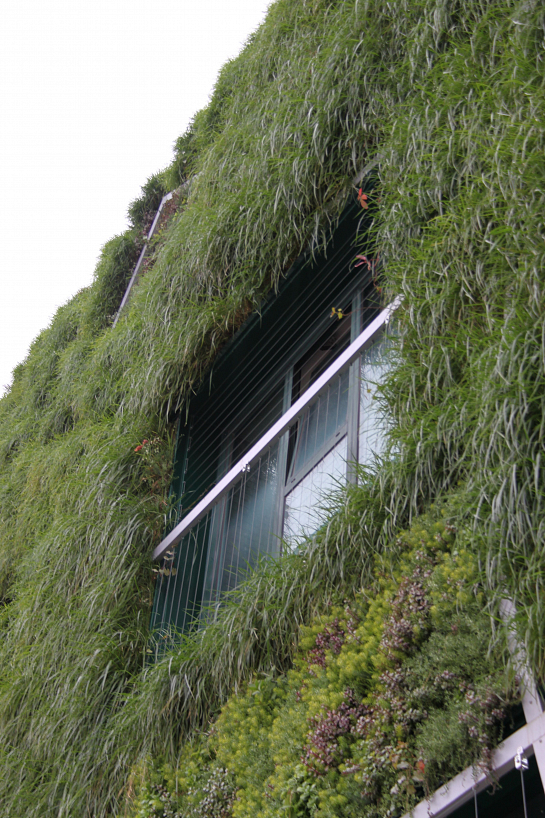 Jardín Vertical del Palacio de congresos de Vitoria-Gasteiz . Vitoria . Álava . España