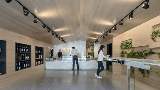 Kekomo . Petrer . Alacant . España