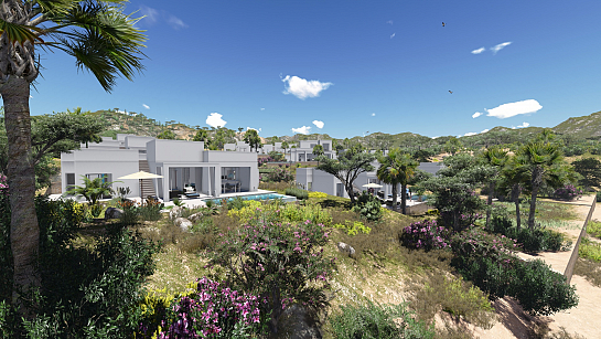 12 Villas Tipuana . Orihuela . Alacant . España