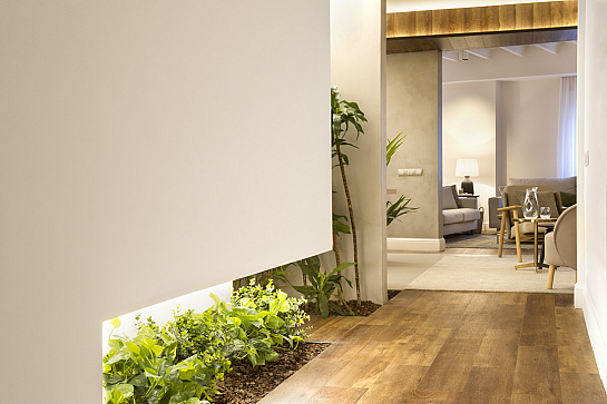 Suite for 10 . Barcelona . Barcelona . España