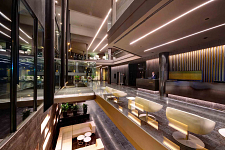 Hotel Olivia Balmes . Barcelona . Barcelona . España