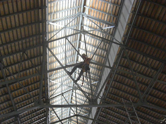 Rehabilitación del Mercado Central de abastos de Alicante . Alicante . Alacant . España