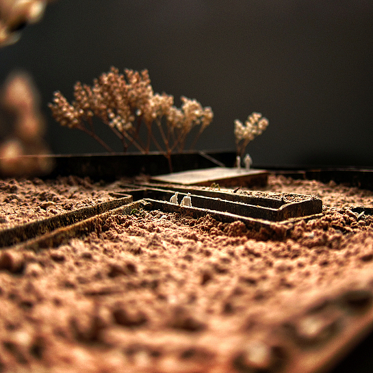 Viaje al interior de un huerto . Granada . Granada . España