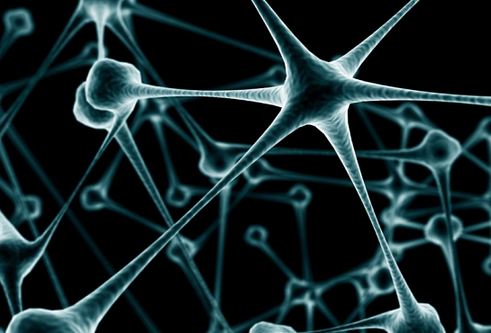 Feria Talent 2012 . Valencia . València . España