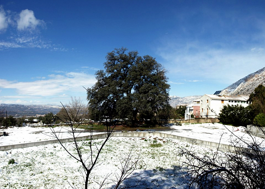 Viaje al interior de un huerto . Granada . Granada . España