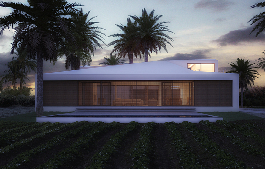 Vivienda unifamiliar en un Huerto de Palmeras . Elche . Alacant . España