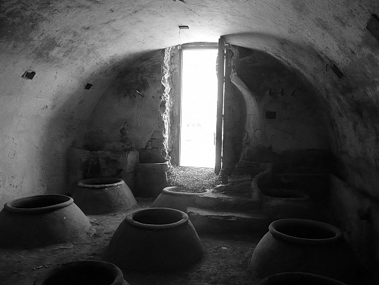 Escuela de Vino de Cehegín . Murcia . Murcia . España