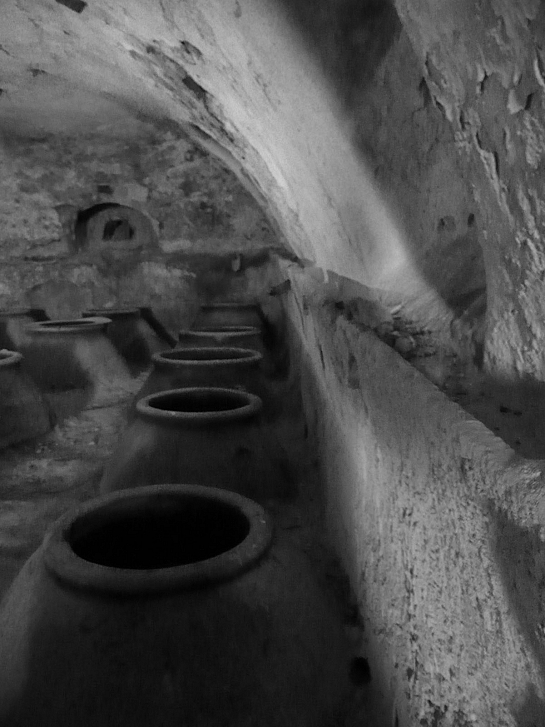 Escuela de Vino de Cehegín . Murcia . Murcia . España