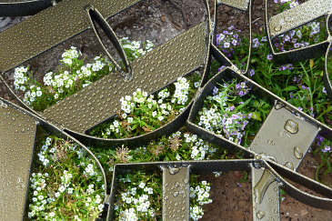 CELOSÍAS CULTURALES . Elche . Alacant . España