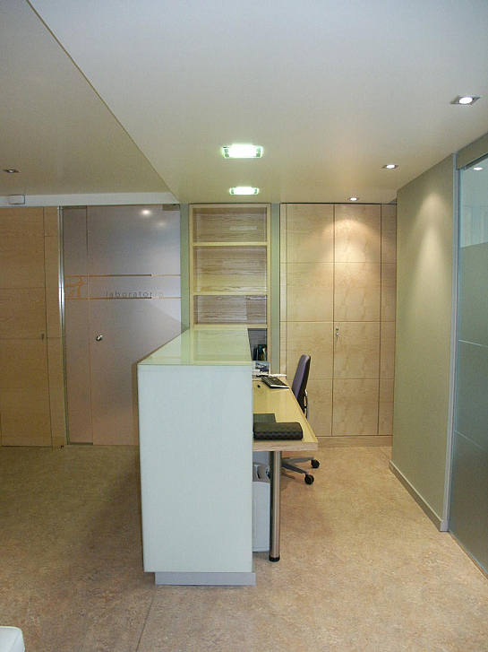 Reforma local para médico analista y dentista . Castellón de la Plana . Castellón . España