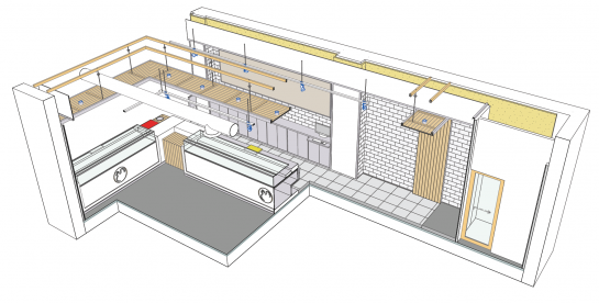 Pollos Planes Badalona . Barcelona . Barcelona . España