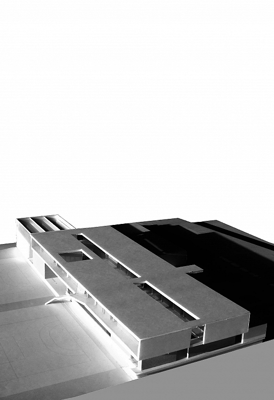 Colegio Miguel Hernández . Orihuela . Alacant . España