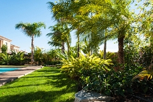 Jardín subtropical en Finestrat . Benidorm . Alacant . España