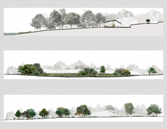 Parque San Rafael . Bogotá . Cundinamarca . Colombia