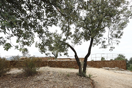Adecuación del Yacimiento Romano de Can Tacó . Montornés del Vallés . Barcelona . España