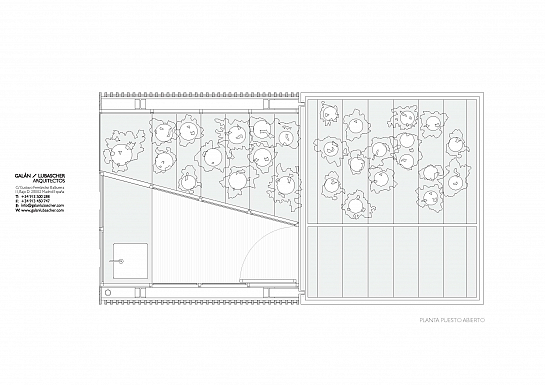 Puestos de Flores en Tirso de Molina . Madrid . Madrid . España