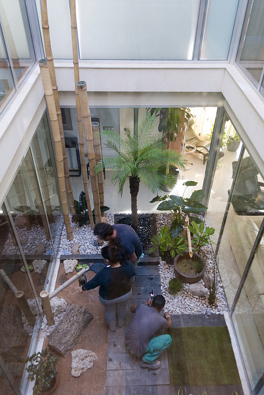 Terrario para tortugas. . San Juan de Alicante . Alacant . España