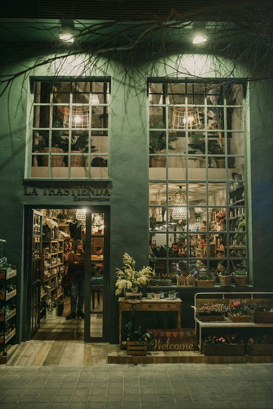 Floristería La Trastienda 2 . Alicante . Alacant . España