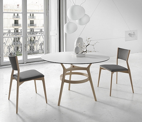 MESA LEGER