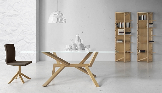 SILLA TREE WOOD