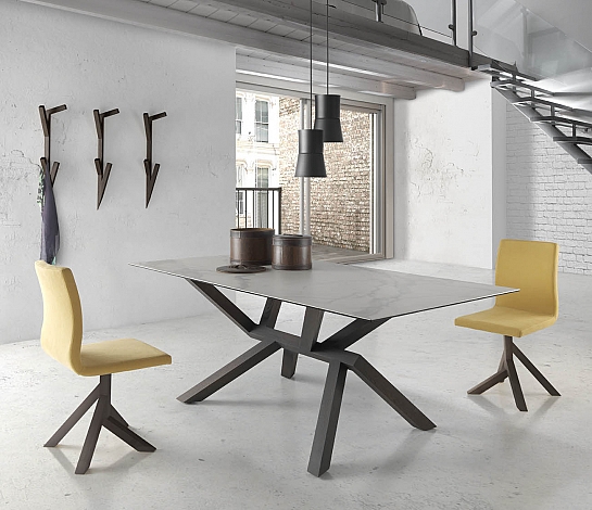 SILLA TREE WOOD