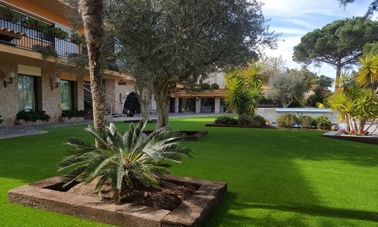 Aberdeen II (jardinería)