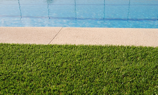 Aberdeen II (jardinería)