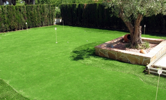 Alber Green (golf)