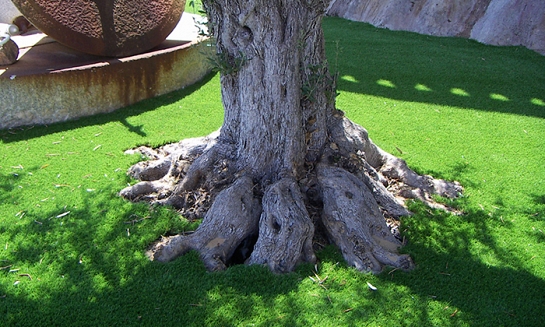 Delta II (jardinería)