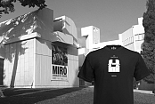 MODELO FUNDACIÓ MIRÓ