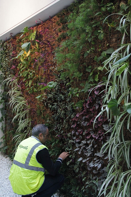 Jardín Vertical mod. LEAFBOX