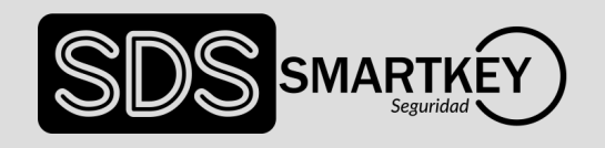 SDS SMARTKEY Seguridad