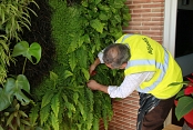 Jardín Vertical mod. LEAFBOX