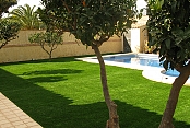 Orión Plus (jardinería)