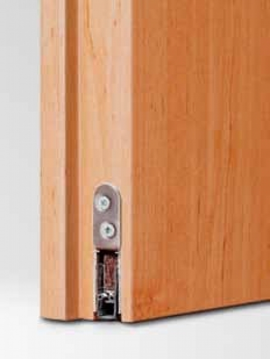 Acoustic Puerta Alemana WTK