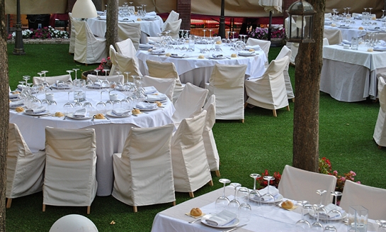 Tempo (jardinería)