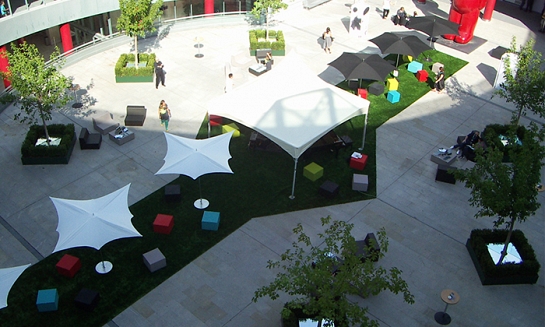 Tempo (jardinería)