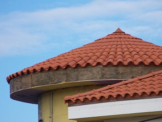 TEJA CURVA
