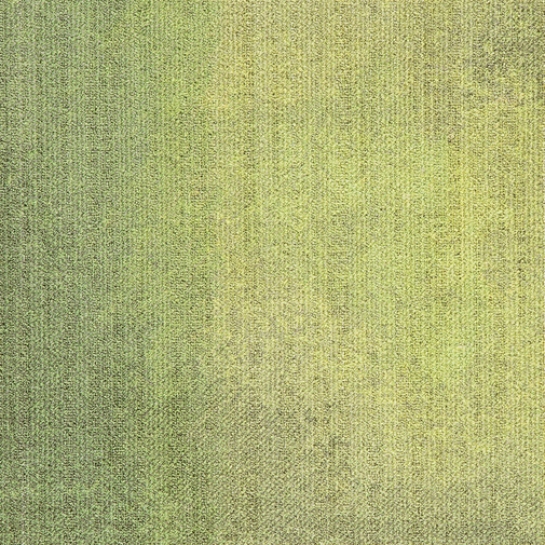 Naturally Drawn Collection