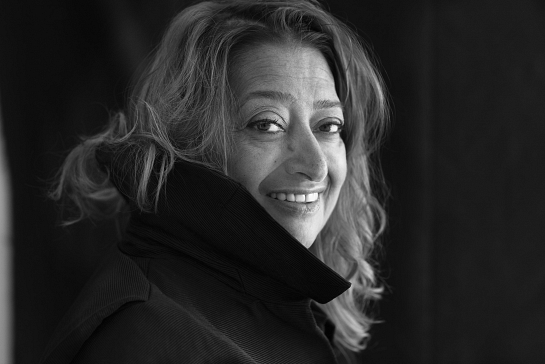 OLIVARI - Manilla CHEVRON - Zaha Hadid