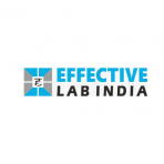 EFFECTIVE LAB INDIA